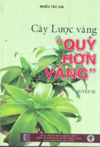 Cây Lược Vàng Quý Như Vàng