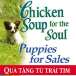 Chicken Soup For The Soul – Tập 14 – Quà Tặng Từ Trái Tim