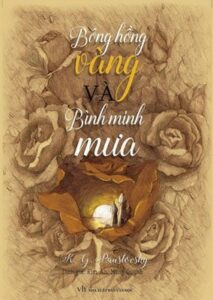 Bông Hồng Vàng Và Bình Minh Mưa