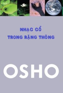 Nhạc Cổ Trong Rặng Thông