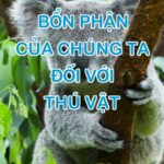 Bổn Phận Của Chúng Ta Đối Với Thú Vật