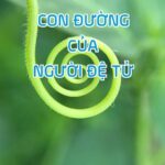 Con Đường Của Người Đệ Tử