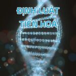 Định Luật Tiến Hoá