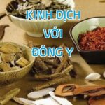 Kinh Dịch Với Đông Y